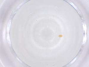  ( - CBG-B23364-B06)  @11 [ ] CreativeCommons - Attribution Share - Alike (2025) Centre for Biodiversity Genomics Centre for Biodiversity Genomics