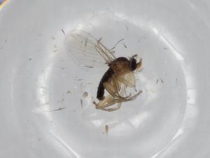  ( - BIOUG70064-B02)  @11 [ ] CreativeCommons - Attribution (2021) Centre for Biodiversity Genomics Centre for Biodiversity Genomics