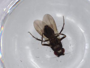  ( - BIOUG70554-E07)  @11 [ ] CreativeCommons - Attribution (2021) Centre for Biodiversity Genomics Centre for Biodiversity Genomics