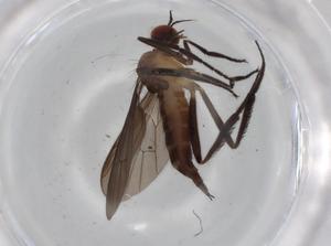  ( - BIOUG70601-C06)  @11 [ ] CreativeCommons - Attribution (2021) Centre for Biodiversity Genomics Centre for Biodiversity Genomics