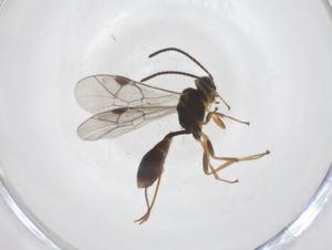  ( - CBG-A40039-D07)  @11 [ ] CreativeCommons - Attribution Share - Alike (2024) Centre for Biodiversity Genomics Centre for Biodiversity Genomics