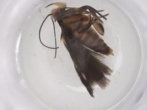  ( - CBG-B20255-A12)  @11 [ ] CreativeCommons - Attribution Share - Alike (2025) Centre for Biodiversity Genomics Centre for Biodiversity Genomics