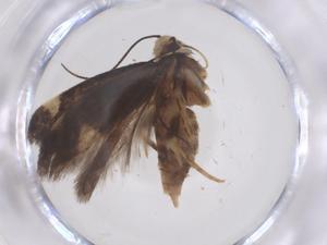  ( - CBG-B20256-E04)  @11 [ ] CreativeCommons - Attribution Share - Alike (2025) Centre for Biodiversity Genomics Centre for Biodiversity Genomics