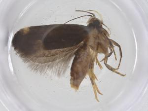  ( - CBG-B20350-E10)  @11 [ ] CreativeCommons - Attribution Share - Alike (2025) Centre for Biodiversity Genomics Centre for Biodiversity Genomics