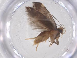  ( - CBG-B20353-G03)  @11 [ ] CreativeCommons - Attribution Share - Alike (2025) Centre for Biodiversity Genomics Centre for Biodiversity Genomics