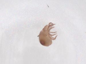  ( - CBG-B20459-C02)  @11 [ ] CreativeCommons - Attribution Share - Alike (2025) Centre for Biodiversity Genomics Centre for Biodiversity Genomics