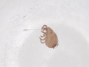  ( - CBG-B20459-G03)  @11 [ ] CreativeCommons - Attribution Share - Alike (2025) Centre for Biodiversity Genomics Centre for Biodiversity Genomics