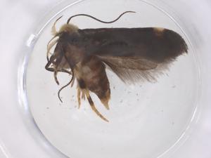  ( - CBG-B21348-A01)  @11 [ ] CreativeCommons - Attribution Share - Alike (2025) Centre for Biodiversity Genomics Centre for Biodiversity Genomics