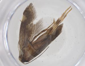  ( - CBG-B21349-E03)  @11 [ ] CreativeCommons - Attribution Share - Alike (2025) Centre for Biodiversity Genomics Centre for Biodiversity Genomics