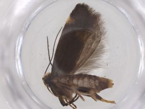  ( - CBG-B21350-E02)  @11 [ ] CreativeCommons - Attribution Share - Alike (2025) Centre for Biodiversity Genomics Centre for Biodiversity Genomics