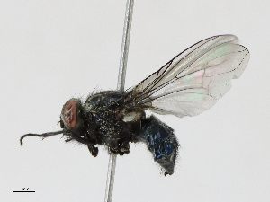  ( - CBG-A14979-A09)  @11 [ ] CreativeCommons - Attribution Share - Alike (2023) CBG Photography Group Centre for Biodiversity Genomics