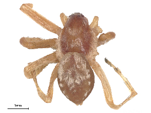  ( - CBG-A65382-H05)  @11 [ ] CreativeCommons - Attribution Share-Alike (2025) CBG Photography Group Centre for Biodiversity Genomics