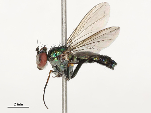  ( - CBG-B00079-A10)  @11 [ ] CreativeCommons - Attribution Share - Alike (2025) CBG Photography Group Centre for Biodiversity Genomics