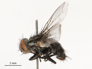  ( - CBG-B00079-B03)  @11 [ ] CreativeCommons - Attribution Share - Alike (2025) CBG Photography Group Centre for Biodiversity Genomics