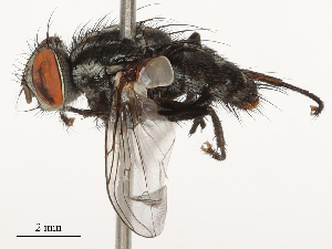  ( - CBG-B00079-E09)  @11 [ ] CreativeCommons - Attribution Share - Alike (2025) CBG Photography Group Centre for Biodiversity Genomics