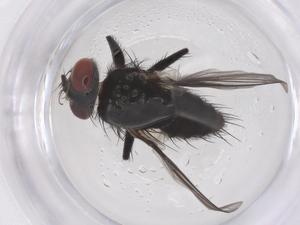  ( - CBG-B00804-E08)  @11 [ ] CreativeCommons - Attribution Share - Alike (2025) Centre for Biodiversity Genomics Centre for Biodiversity Genomics