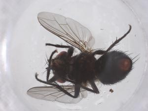  ( - CBG-B00805-A02)  @11 [ ] CreativeCommons - Attribution Share - Alike (2025) Centre for Biodiversity Genomics Centre for Biodiversity Genomics