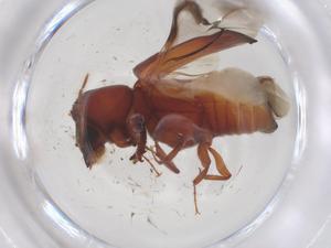  ( - CBG-B01603-G10)  @11 [ ] CreativeCommons - Attribution Share - Alike (2025) Centre for Biodiversity Genomics Centre for Biodiversity Genomics