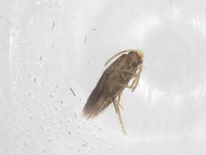  ( - CBG-B01696-E07)  @11 [ ] CreativeCommons - Attribution Share - Alike (2025) Centre for Biodiversity Genomics Centre for Biodiversity Genomics