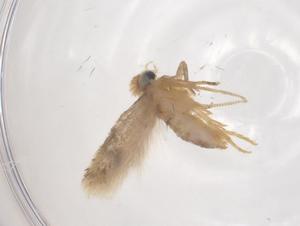  ( - CBG-B02276-H07)  @11 [ ] CreativeCommons - Attribution Share - Alike (2025) Centre for Biodiversity Genomics Centre for Biodiversity Genomics