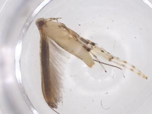  ( - CBG-B02277-G02)  @11 [ ] CreativeCommons - Attribution Share - Alike (2025) Centre for Biodiversity Genomics Centre for Biodiversity Genomics