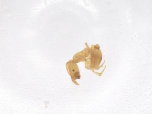  ( - CBG-B21483-D12)  @11 [ ] CreativeCommons - Attribution Share - Alike (2025) Centre for Biodiversity Genomics Centre for Biodiversity Genomics