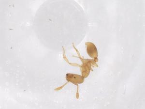  ( - CBG-B21483-E09)  @11 [ ] CreativeCommons - Attribution Share - Alike (2025) Centre for Biodiversity Genomics Centre for Biodiversity Genomics