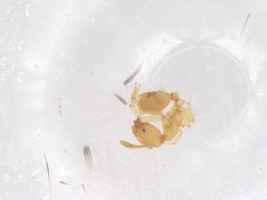  ( - CBG-B21483-E11)  @11 [ ] CreativeCommons - Attribution Share - Alike (2025) Centre for Biodiversity Genomics Centre for Biodiversity Genomics