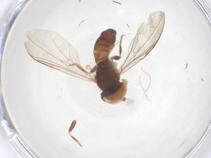  ( - BIOUG27714-E05)  @11 [ ] CreativeCommons - Attribution Share - Alike (2025) Centre for Biodiversity Genomics Centre for Biodiversity Genomics