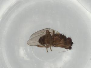  ( - BIOUG68179-A07)  @11 [ ] CreativeCommons - Attribution (2021) Centre for Biodiversity Genomics Centre for Biodiversity Genomics