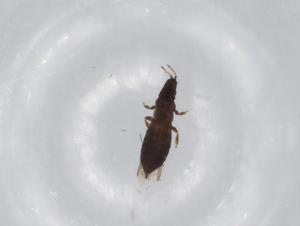  ( - BIOUG68504-E09)  @11 [ ] CreativeCommons - Attribution (2021) Centre for Biodiversity Genomics Centre for Biodiversity Genomics