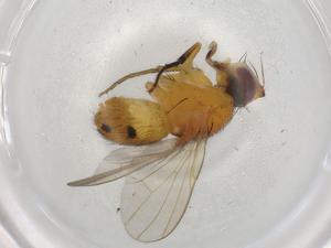  ( - BIOUG90888-E01)  @11 [ ] CreativeCommons - Attribution (2022) Centre for Biodiversity Genomics Centre for Biodiversity Genomics