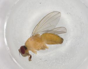  ( - BIOUG90912-C09)  @11 [ ] CreativeCommons - Attribution (2022) Centre for Biodiversity Genomics Centre for Biodiversity Genomics