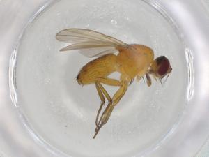  ( - BIOUG91772-D08)  @11 [ ] CreativeCommons - Attribution (2022) Centre for Biodiversity Genomics Centre for Biodiversity Genomics