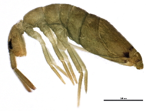  ( - BIOUG04086-B01)  @15 [ ] CreativeCommons - Attribution (2013) CBG Photography Group Centre for Biodiversity Genomics