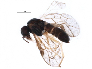  ( - BIOUG15933-G10)  @13 [ ] CreativeCommons - Attribution (2016) CBG Photography Group Centre for Biodiversity Genomics