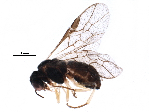  ( - BIOUG15933-H07)  @14 [ ] CreativeCommons - Attribution (2016) CBG Photography Group Centre for Biodiversity Genomics