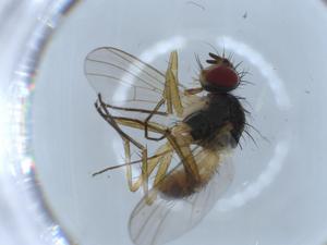  ( - BIOUG55147-D10)  @11 [ ] CreativeCommons - Attribution (2020) Centre for Biodiversity Genomics Centre for Biodiversity Genomics