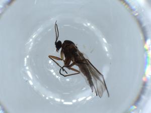  ( - BIOUG55194-E03)  @11 [ ] CreativeCommons - Attribution (2020) Centre for Biodiversity Genomics Centre for Biodiversity Genomics