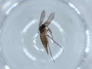  ( - BIOUG55198-B07)  @11 [ ] CreativeCommons - Attribution (2020) Centre for Biodiversity Genomics Centre for Biodiversity Genomics