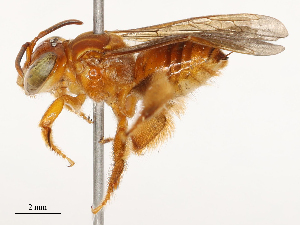  ( - CBG-B21221-E10)  @11 [ ] CreativeCommons - Attribution Share - Alike (2025) CBG Photography Group Centre for Biodiversity Genomics