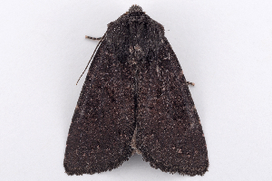  ( - 2011GM-0594)  @12 [ ] Copyright (2011) Gary McDonald Unspecified