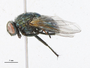  ( - CBG-A16687-H04)  @11 [ ] CreativeCommons - Attribution Share-Alike (2023) CBG Photography Group Centre for Biodiversity Genomics