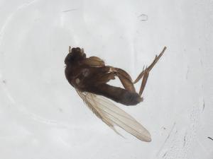  ( - CBG-A17598-A08)  @11 [ ] CreativeCommons - Attribution Share - Alike (2023) Centre for Biodiversity Genomics Centre for Biodiversity Genomics