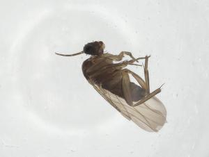  ( - CBG-A17601-B05)  @11 [ ] CreativeCommons - Attribution Share - Alike (2023) Centre for Biodiversity Genomics Centre for Biodiversity Genomics