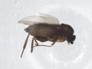  ( - CBG-A17628-F03)  @11 [ ] CreativeCommons - Attribution Share - Alike (2023) Centre for Biodiversity Genomics Centre for Biodiversity Genomics