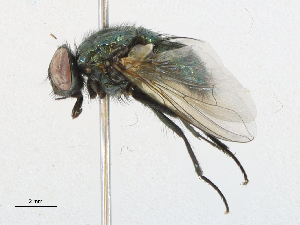  ( - CBG-A21649-G01)  @11 [ ] CreativeCommons - Attribution Share-Alike (2023) CBG Photography Group Centre for Biodiversity Genomics