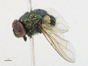  ( - CBG-A21649-G02)  @11 [ ] CreativeCommons - Attribution Share-Alike (2023) CBG Photography Group Centre for Biodiversity Genomics