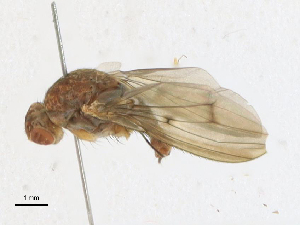  ( - CBG-A21650-B01)  @11 [ ] CreativeCommons - Attribution Share-Alike (2023) CBG Photography Group Centre for Biodiversity Genomics