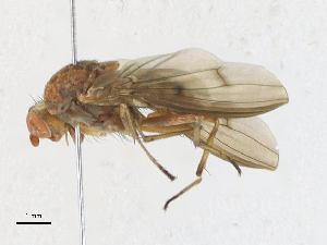  ( - CBG-A21650-B03)  @11 [ ] CreativeCommons - Attribution Share-Alike (2023) CBG Photography Group Centre for Biodiversity Genomics